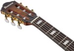 Ibanez FRH20SMN Tobacco Burst