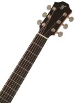 Furch Blue OM-MM L.R. Baggs EAS-VTC