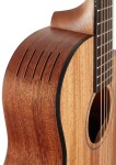 Furch Pioneer MM CNR Active