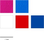 Staedtler Staedtler, 61 DJT4, Design Journey Boho Style, kreativní sada, pouzdro, 7 ks