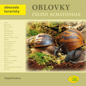 Oblovky čeledi achatinidae