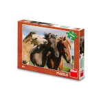 Puzzle Barevní koně