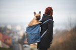 Alley šedý batoh pro psa do 10 kg Barva: Šedá, Dle váhy psa: do 6 kg