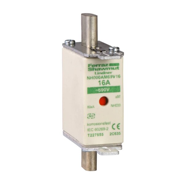 Schneider Electric DF2HA1161 pojistka 3 ks