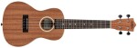 Lanikai LU21-C