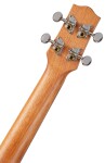 Ibanez UKC100 Natural