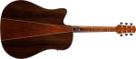 Ibanez AAD381CE NT