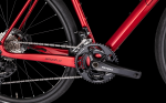 4EVER GRIZZLY RACE flame red 2026