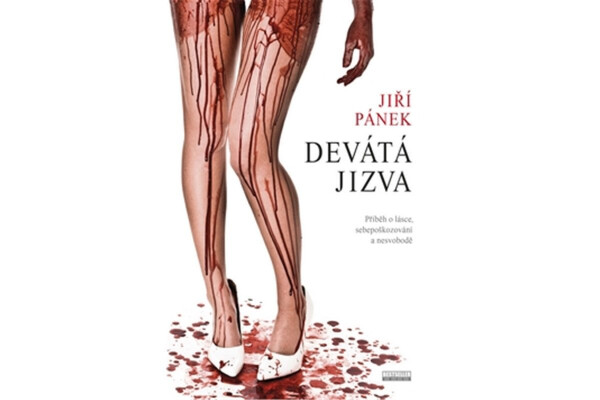 Devátá jizva