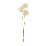 Bloomingville Umělá květina Allium White 63 cm, krémová barva, plast