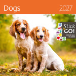Nástěnný kalendář 2027 Helma Dogs