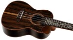 Ortega RUET-ZC