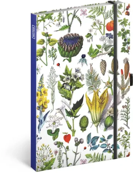 NOTIQUE Notes Bylinky Kateřiny Winterové, tečkovaný, 13 x 21 cm (A-34414)