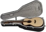 Furch Red Pure G-LR CNR Active
