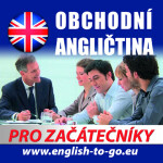 Obchodní angličtina pro začátečníky - kolektiv autorů