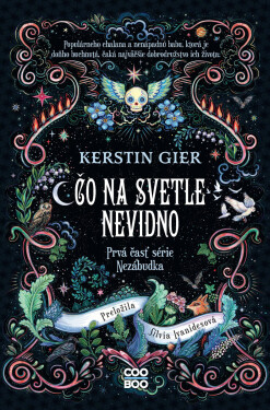 Čo na svetle nevidno - Kerstin Gierová