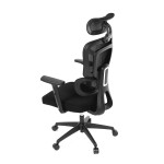 Kancelářská židle, synchronní mechanismus, černá síťovina, KA-Y358 BK