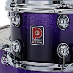 Premier Genista Maple 20" 3pc Shell Pack Purple Fade Sparkle