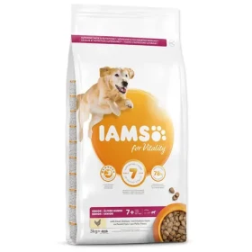 IAMS Senior Large Chicken 3kg / Granule pro psy / velká plemena / kuřecí (1754-153902)
