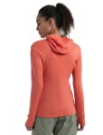 ICEBREAKER Wmns Merino 260 Quantum IV LS Zip Hoodie, Tang velikost: XS