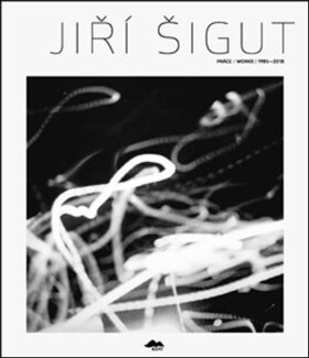 Jiří Šigut: Práce/Works Jiří Šigut: Jiří