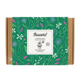 Blossombs Dárková sada semínek divokých květin Flowers – 7 ks, zelená barva, papír