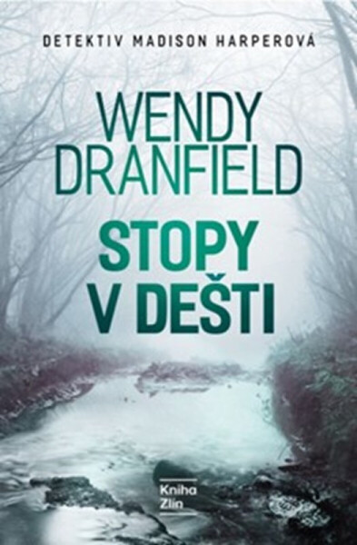 Stopy v dešti - Wendy Dranfield