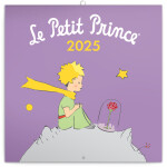 Kalendář 2025 poznámkový: Malý princ, 30 30 cm