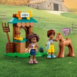 LEGO® Friends 41730 Dům Autumn