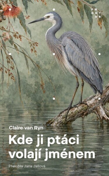 Kde ji ptáci volají jménem - Claire van Ryn