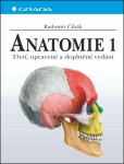 Anatomie