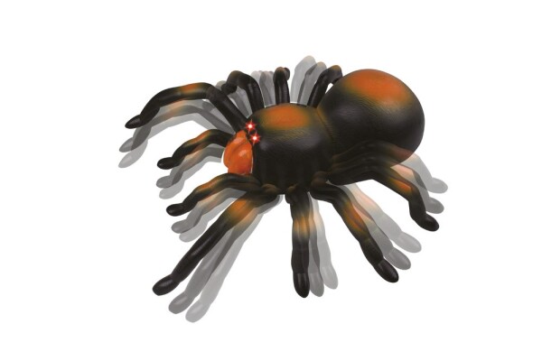 RC tarantule, 21 cm, Wiky RC, W007650
