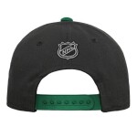 Outerstuff Dětská kšiltovka Minnesota Wild NHL Precurved Snap