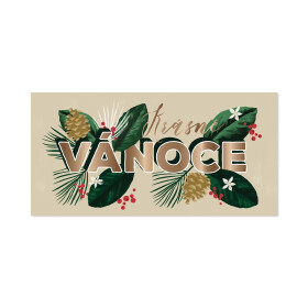 Vánoční obálka na peníze - Šišky a větvičky - Albi