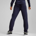 Puma Team Goal Casuals W 658604 06 dámské kalhoty L