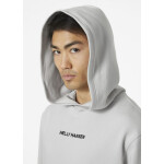 Helly Hansen Core Graphic Sweat Hoodie M 53924 825 L