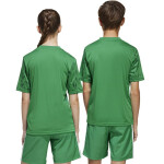 Adidas Team Icon 25 JSY Jr Tričko JJ1956 164 cm