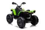Mamido Dětská elektrická čtyřkolka Can-Am Renegade 180W 4x4 zelená