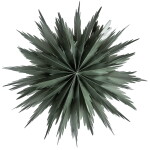 Watt & Veke Závěsná svítící hvězda Liz Green 50 cm, zelená barva, papír