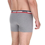Boxerky Levi's 5-Pack M 701224335002 m