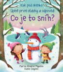 Co je to sníh?