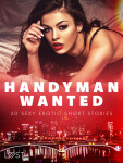 Handyman Wanted - 20 Sexy Erotic Short Stories - Christina Tempest, Saga Stigsdotter, Nicolas Lemarin, Britta Bocker