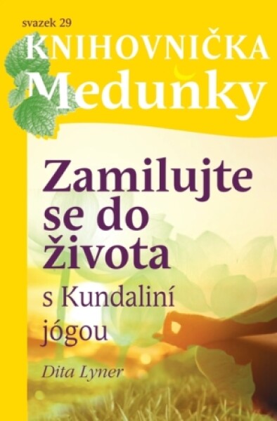 Zamilujte se do života - Dita Lyner - e-kniha