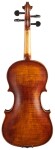 Stentor Violin 4/4 Verona Set SR1864