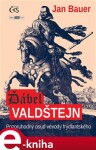 Ďábel Valdštejn. Pozoruhodný osud vévody frýdlantského - Jan Bauer e-kniha