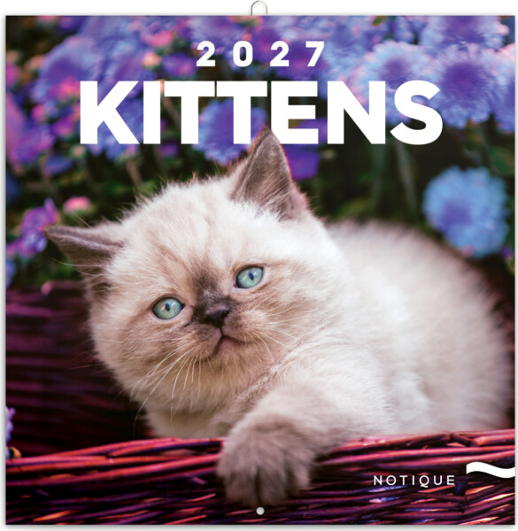 Kalendář 2027 poznámkový: Koťata 2027, 30 x 30 cm
