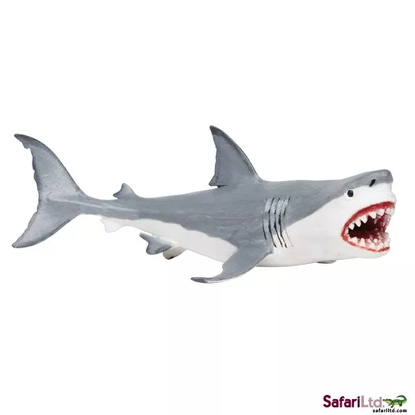 Safari Ltd. Safari Ltd. Megalodon