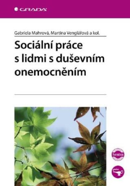 Sociální práce s lidmi s duševním onemocněním - Martina Venglářová, Gabriela Mahrová - e-kniha