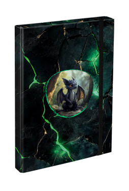 Desky na školní sešity A4 Draci