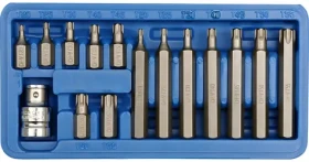 Vorel Sada bitů 15 ks CrV TORX / Sada bitů / T20-T55 / Délky 30 a 75 mm / Plastový box (TO-66580)
